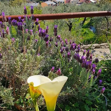 Cla&cha 4* Bonassola