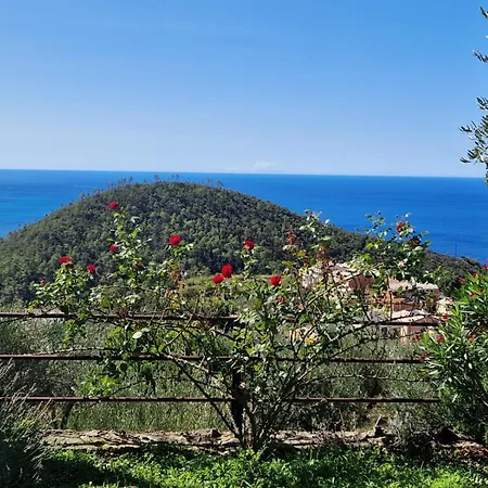 Casa de hóspedes Cla&cha