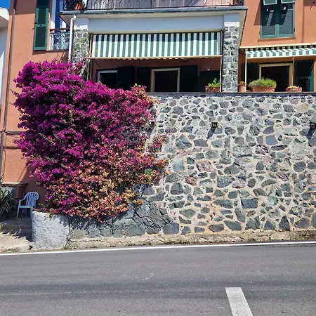 Cla&cha Casa de hóspedes 4*