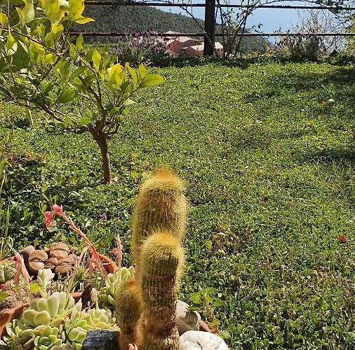 Cla&cha Gæstehus Bonassola