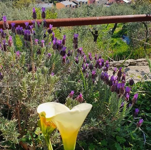 Cla&cha 4* Bonassola