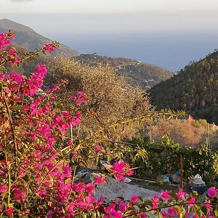 בית הארחה Cla&cha