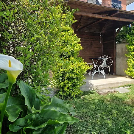 Cla&cha בית הארחה 4*