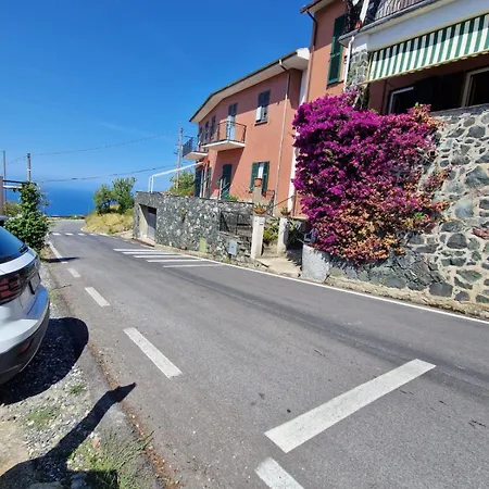 Cla&cha بيت ضيافة