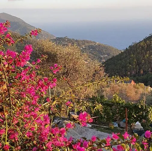 게스트하우스 Cla&cha