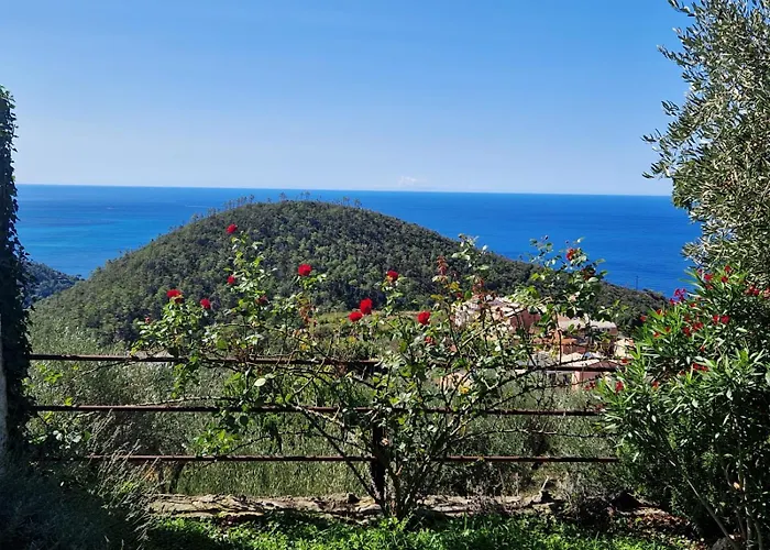 بيت ضيافة Cla&cha